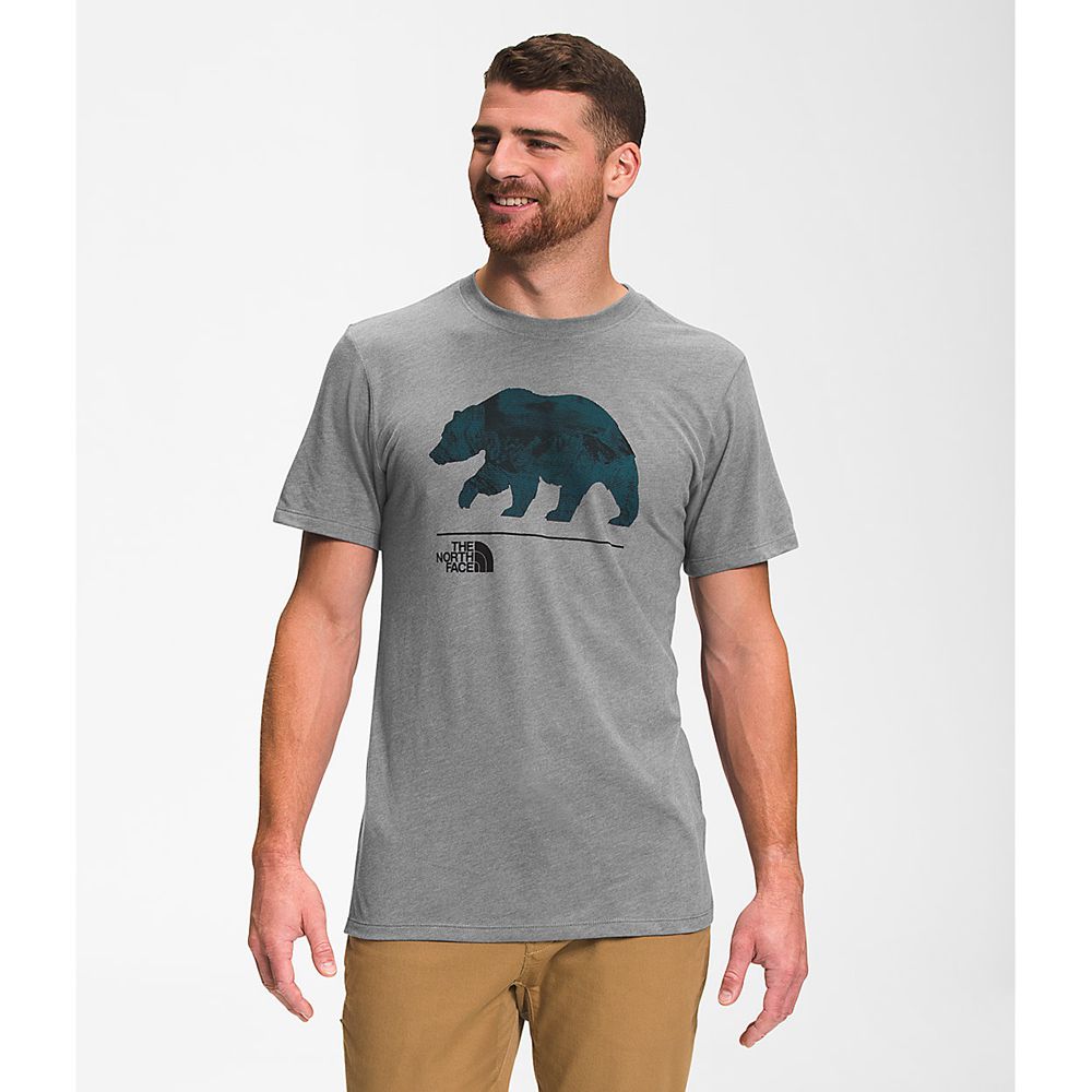 The North Face T-Shirts Mens Australia - The North Face Bearscape Short Sleeve Grey (ZMS-170543)